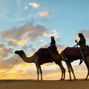 Camel Ride Top Desert Safari